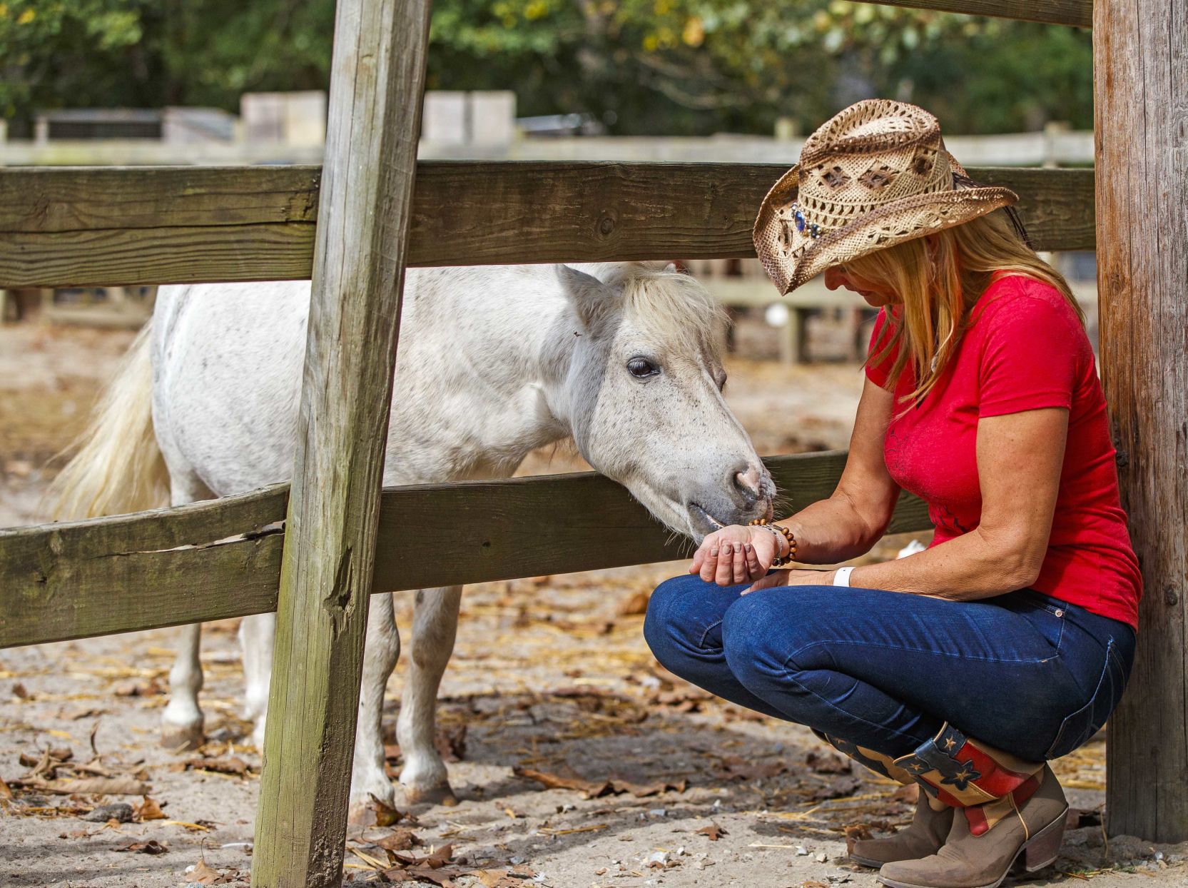 Funny Farm Rescue & Sanctuary